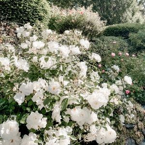 I’m on Vacation !! JUNE 18 - JULY 7